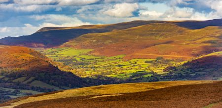 Brecon and Radnorshire by-election poll