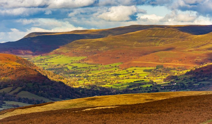 Brecon and Radnorshire by-election poll